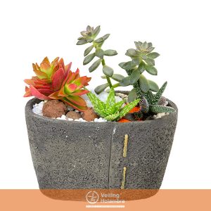 COQUETEL SUCULENTAS CUIA CERÂMICA OVAL 15 CM DECORADO